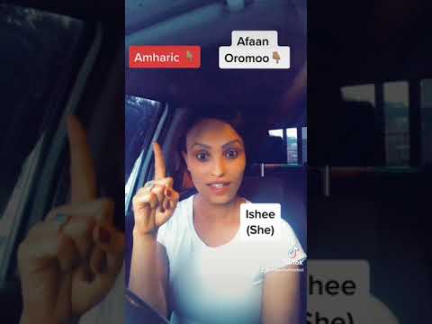 Afan Oromo With Hiree