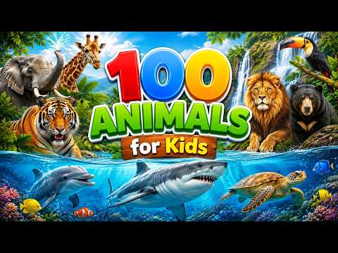 100 Animals for Kids | Learn Wild and Sea Animals Names and Facts | Educational Animal Video