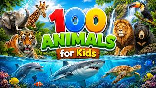 100 Animals for Kids | Learn Wild and Sea Animals Names and Facts | Educational Animal Video