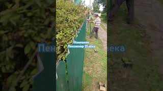 Установка забора из металла штакетника