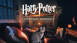 Gryffindor ◈ Christmas Night at Hogwarts  Harry Potter inspired Holiday Ambience & Soft Music