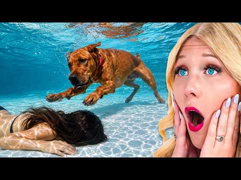 Animals Saving LIVES!