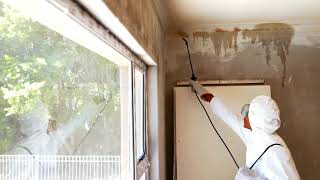 Premier Pest Treatment Service in Hobart | Fast Pest Control | #1 Pest Control Company