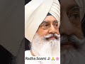 🙏🌸❤️ #radhasoami #youtubeshorts #derabeas #subscribe #trending #shorts #viralvideo #reels #love