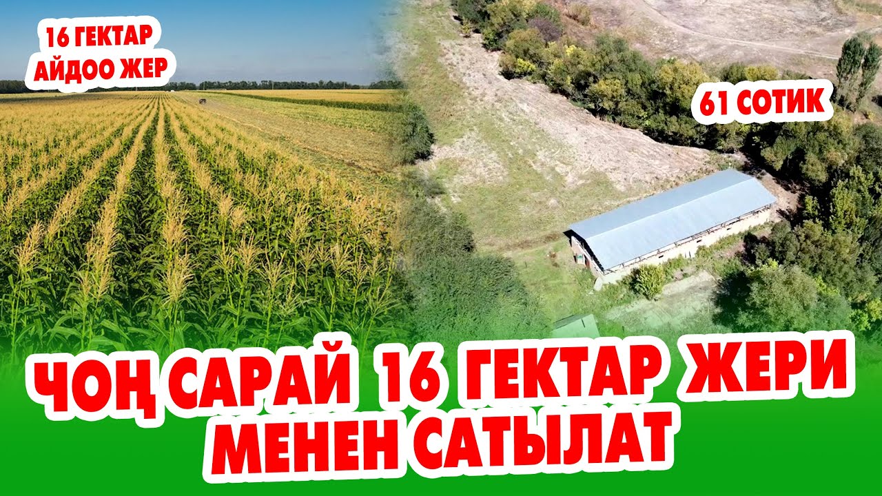 61 сотик ЖЕРИ менен САРАЙ, 16 гектар айдоо ЖЕРИ менен САТЫЛАТ ~ Бѳлүп сатуу жолдору да бар