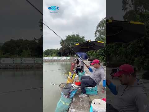 TRẢI NGHIỆM HỒ CÂU THI ĐẤU 8386 BẢNG VMSV2 - PHẦN 2