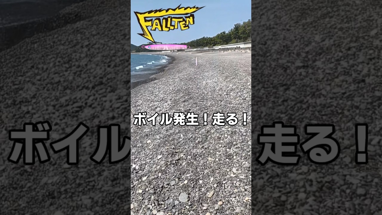和歌山サーフでライトショアジギング！フォルテンであの青物がつれた！ #shorts #釣り #fishing #ショアジギング #青物