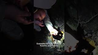 Finding Hidden Gems with UV Light | TANK007 UV Flashlight in Action #tank007 #uvflashlight