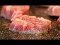 Japanese Food - Teppanyaki Imari Wagu Beef