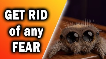 How to Get Rid of ANY Fear - Systematic Desensitization Explained