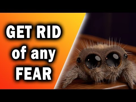 How to Get Rid of ANY Fear - Systematic Desensitization Explained