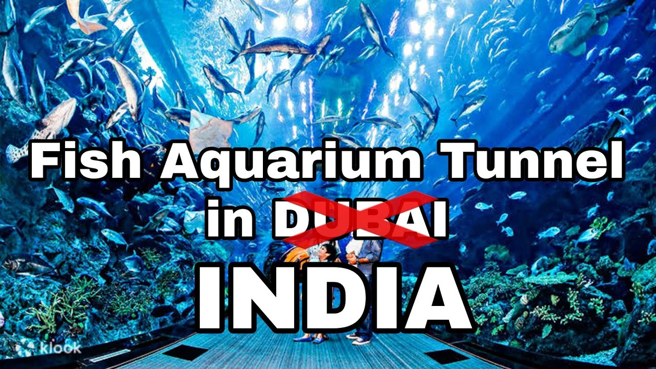 Fish🐠 Aquarium🐬 Tunnel😳 First Time in Kota Rajasthan MIRCHI AUTO