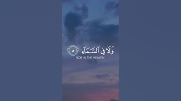 سورة آل عمران  ||  القارئ عبدالرحمن العمري