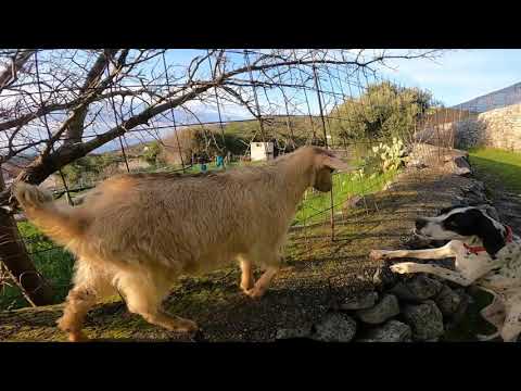 Hiking in Patmos island Greece. Genoupas(Kasarma) - Agia Paraskevi - Profitis Ilias