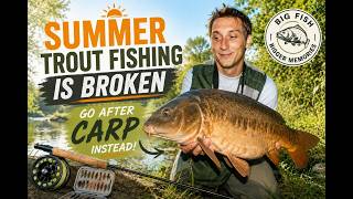 Summer Trout Fishing is Broken, Get on The Carp!