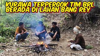 Download Lagu 🔴 LATEST BANG REY LAMPUNG KURAWA IS VERY SUSPICIOUS IN BANG REY LAMPUNG'S LAND MP3