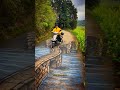 Crazy 3D Bridge Illusion on Road 😱 Looks Real! #shorts