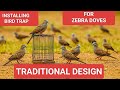 Installing a Traditional Zebra Dove Trap | Primitive Bird Trapping Method (Leg Snare Design)