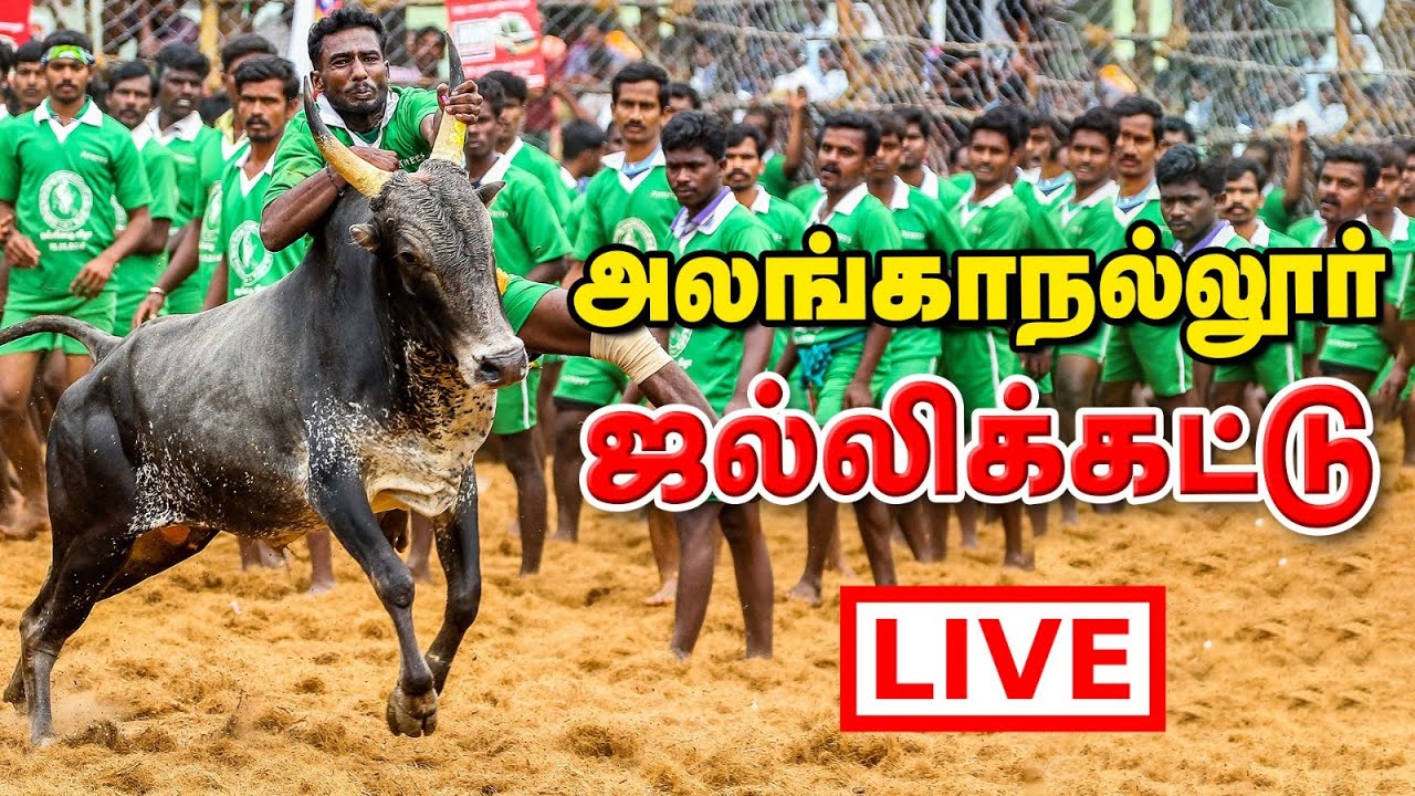 Alanganallur Jallikattu 2026 Live | Pongal Bulls Taming from Tamil Nadu | அலங்காநல்லூர் ஜல்லிக்கட்டு