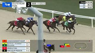 Vidéo de la course PMU CLAIMING