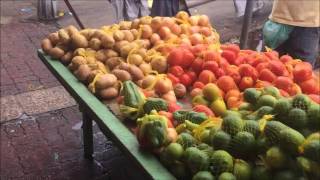 Backpacking Brazil Vlog 2 Belém, Cotijuba, Combu