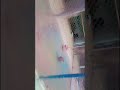 #patnazoo #vlog #birds #zoo #views #video
