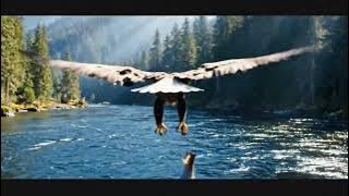 RAJA LANGIT: Pertempuran di Hutan Tropis — Dokumenter Sinematik Penuh Aksi dan Keindahan Alam Liar