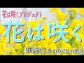 【東日本大地震復興支援ソング】花は咲く/花は咲くプロジェクト  歌詞付き