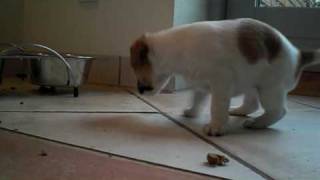 Fione20090717