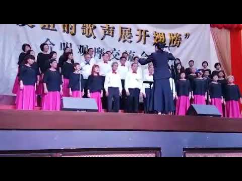 美丽的草原我的家