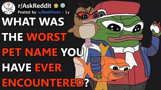 What Was The Worst Pet Name You Have Ever Encountered? Raskreddit