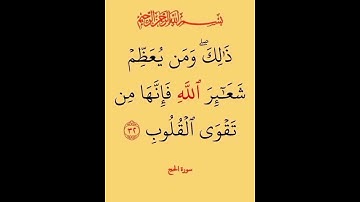#المصحف #آيات_بينات #من سورة الحج