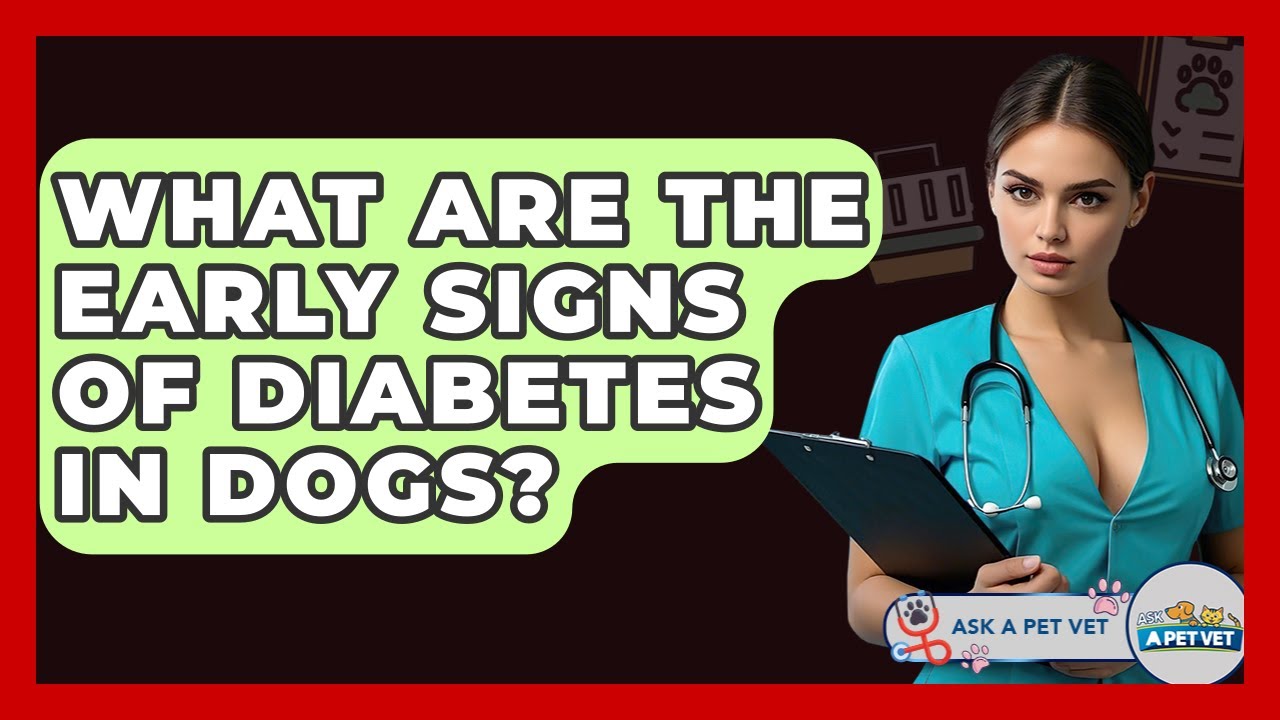 What Are The Early Signs Of Diabetes In Dogs? - Ask A Pet Vet