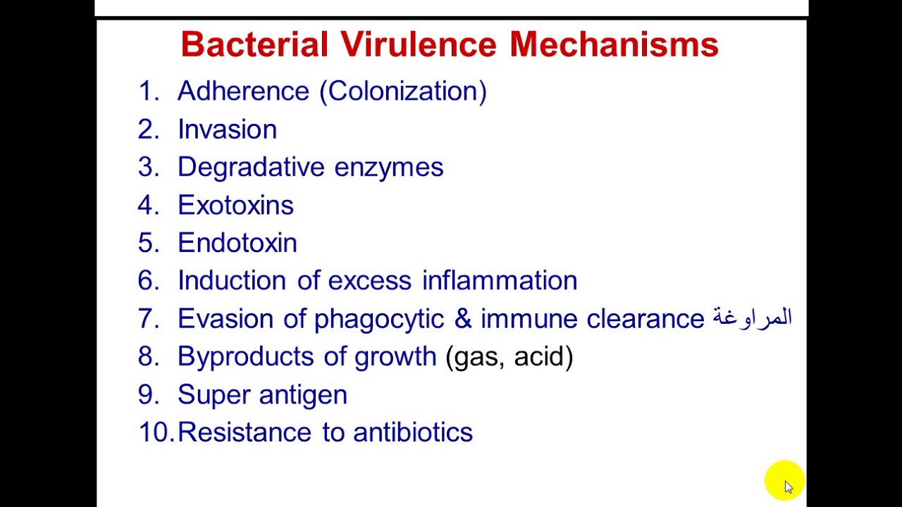 محاضرة علمية(المرحلة الاولى / اساسيات الطب ) محاضرة9, الجزء1