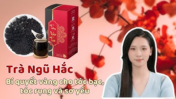 TRÀ NGŨ HẮC TÂM VIỆT TRÀ - BÍ QUYẾT VÀNG CHO TÓC BẠC, TÓC RỤNG VÀ TÓC YẾU