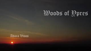 Download Lagu Woods of Ypres ~ Adora Vivos (lyrics) MP3