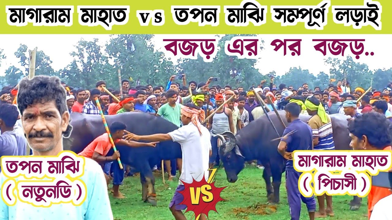 পিচাসী আসরে ১ নং কাড়ার সম্পূর্ণ লড়াই।। পিচাসী কাড়া লড়াই।। Pichasi kara larai।।