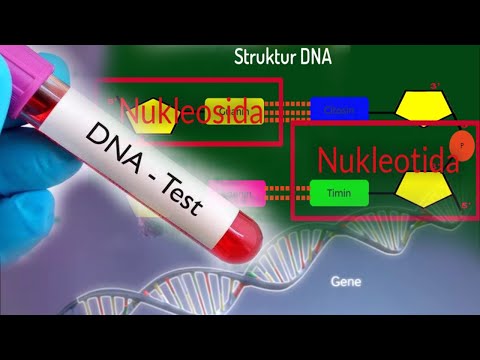 Video: Kehadiran Struktur DNA Baru Dalam Sel Manusia Telah Disahkan - Pandangan Alternatif