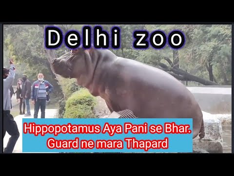 Delhi Zoo //