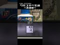 【 マカロニえんぴつ / 遠心 】クモユキの生活 #207 〜洗濯編〜 #shorts