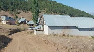 Çamoluk Karadikmen Köyü Çataltepe Yaylası