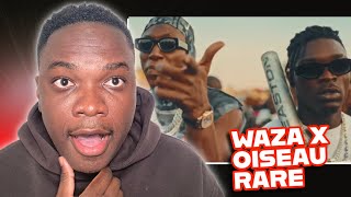 REACTION WAZA NO LIMITE AND THE RARE BIRD KISSES: INCREDIBLE!!!