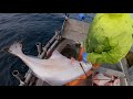 Alaska Halibut Fishing - Hauling the Gear!