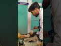 medical motivation 🩺👀🥼#doctor #love #mbbs #shortsfeed #shortsfeed #study #trending #neet #ytshorts