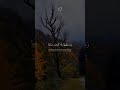 قرآن قرآن كريم ماشاءاللہ راحة نفسية ناصر القطامي ارح سمعك بالقران تلاوة هادئة تصميمي لايك