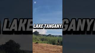 MONIRNING VIEW OF LAKE TANGANYIKA #adventure #animals #nature #wildlife #funny #gorilla