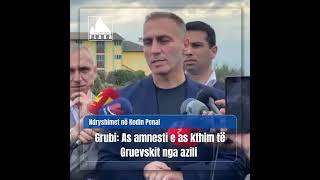 Ndryshimet në Kodin Penal, Grubi: As amnesti e as kthim të Gruevskit nga azili | VIDEO FLAKA