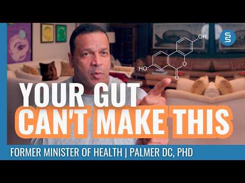 Urolithin A | The Gut Metabolite That Triggers Mitophagy — Cellular Cleanup Most People Can't Make