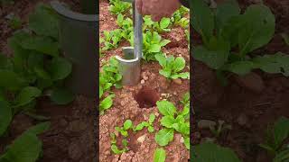 This Tool Can Be Used To Dig Soil Holes For Planting Or To Move Small Plants Easily In Garden Work.