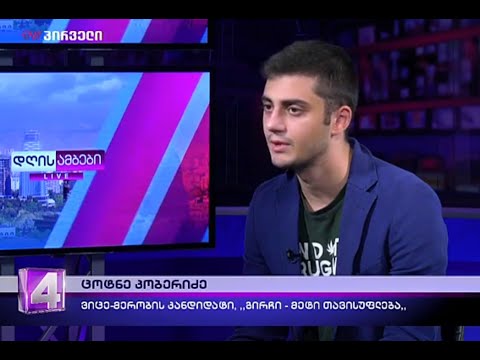 შიდა კვლევები რეალურ განწყობებს არ ასახავს რადგან საკუთარი პოლიტიკური მიზნები გააჩნია - კობერი